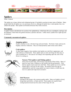 Spiders - Insect Diagnostic Laboratory