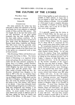the culture of the lychee - Florida State Horticultural Society
