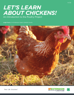 An Introduction to the Poultry Project
