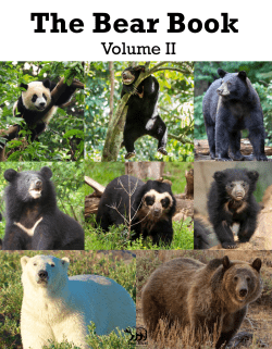 Story - Bear Trust International