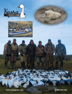 Kaska brochure - Kaska Goose Lodge