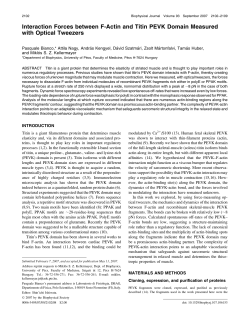 Interaction Forces between F-Actin and Titin PEVK Domain