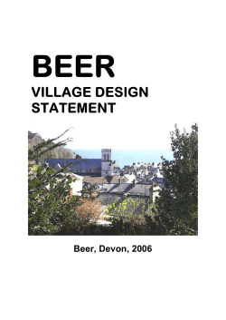 Beer Village Design Statement
