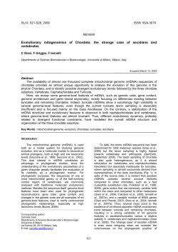 Evolutionary mitogenomics of Chordata