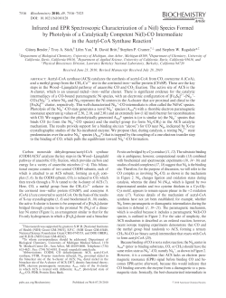 Infrared and EPR Spectroscopic Characterization of a Ni(I) Species