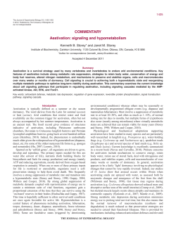 COMMENTARY Aestivation: signaling and hypometabolism