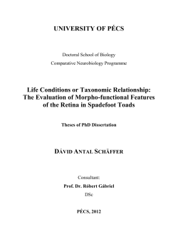 UNIVERSITY OF P&Eacute;CS Life Conditions or Taxonomic Relationship