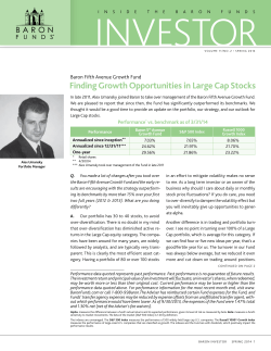 Finding Growth Opportunities in Large Cap Stocks