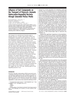 Influence of Soil Components on the Transport of Polycyclic