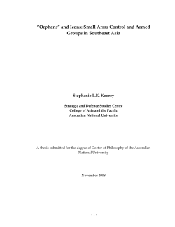 Orphans&rdquo; and Icons: Small Arms Control and Armed Groups in
