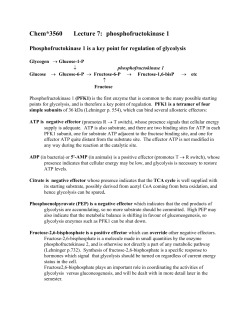 Chem*3560 Lecture 7: phosphofructokinase 1