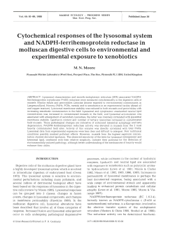 Cytochemical responses of the lysosomal system and NADPH