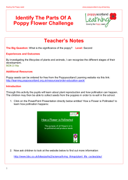 Identify The Parts Of A Poppy Flower Challenge Teacher`s Notes
