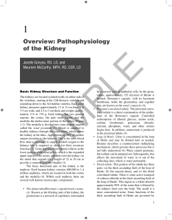 Overview: Pathophysiology of the Kidney