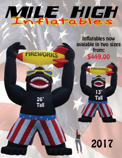 Standard Feather Flags - Mile High Inflatables Logo