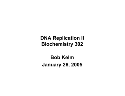 DNA Replication I Biochemistry 302