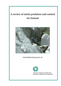 A review of mink predation and control for Ireland
