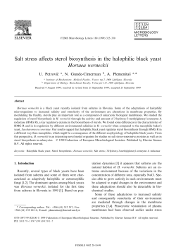 Salt stress affects sterol biosynthesis in the halophilic black yeast