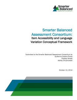 Item Accessibility and Language Variation Conceptual Framework