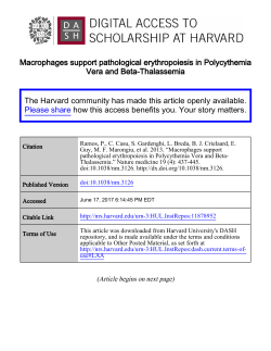 Macrophages support pathological erythropoiesis in Polycythemia