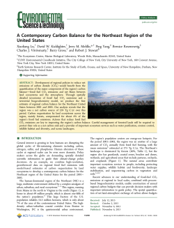 A Contemporary Carbon Balance for the Northeast Region of the