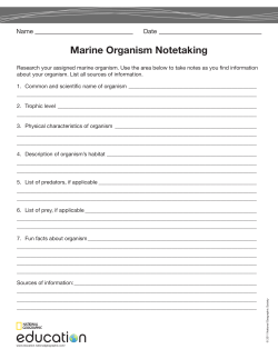 Marine Organism Notetaking - National Geographic Society