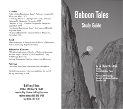 Baboon Tales - Study Guide