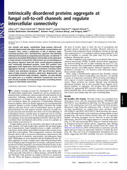 Intrinsically disordered proteins aggregate at fungal cell-to