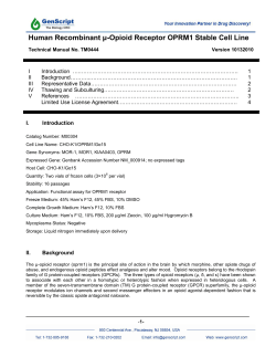 Human Recombinant &mu;-Opioid Receptor OPRM1 Stable
