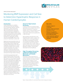 Monitoring BNP Expression and Cell Size to Determine