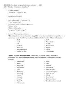 BIOL 3360L Vertebrate Comparative Anatomy Laboratory -