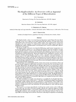The Kupferschiefer: An Overview with an Appraisal of the