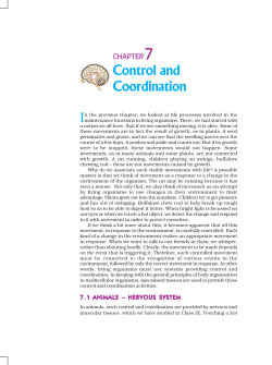 CHAP 7 - ncert