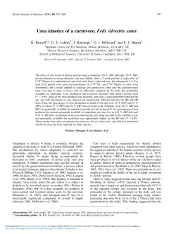 Urea kinetics of a carnivore, Felis silvestris catus