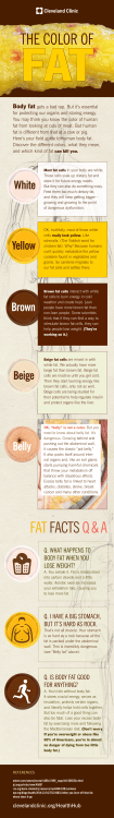 Body fat