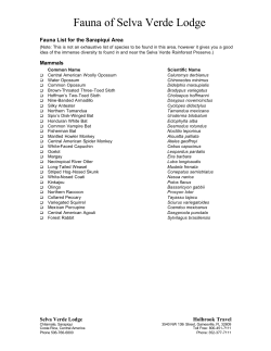Fauna List - Selva Verde Lodge