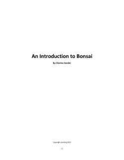 An Introduction to Bonsai