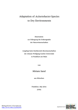 Adaptation of Acinetobacter Species to Dry Environments