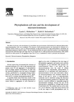 Phytoplankton cell size and the development of microenvironments