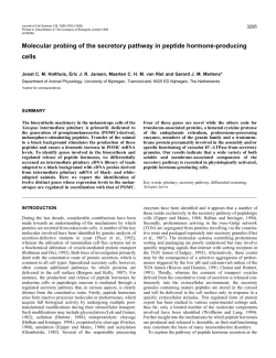 Molecular probing of the secretory pathway in peptide hormone