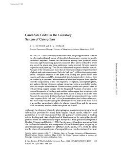 Candidate Codes in the Gustatory System of Caterpillars