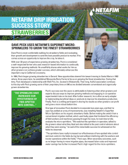 NETAFIM DRIP IRRIGATION SUCCESS STORY STRAWBERRIES