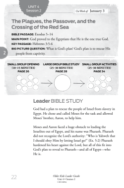The Plagues, the Passover, and the Crossing of the Red Sea