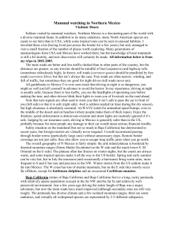 Mammal watching in Northern Mexico