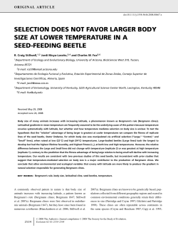 SELECTION DOES NOT FAVOR LARGER BODY SIZE AT LOWER