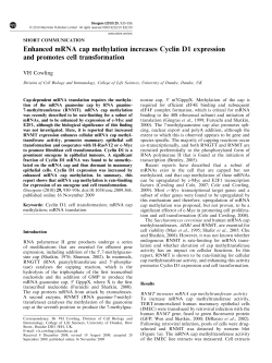Enhanced mRNA cap methylation increases Cyclin D1