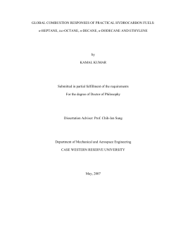 GLOBAL COMBUSTION RESPONSES OF PRACTICAL