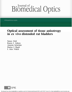Optical assessment of tissue anisotropy in ex vivo distended rat