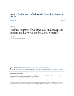Interface Property of Collagen and Hydroxyapatite in Bone and
