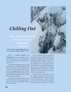 Chilling Out How Warm-Blooded Animals Survive Southeast Winters